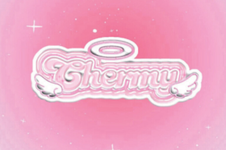 Chermy 有志ダンス